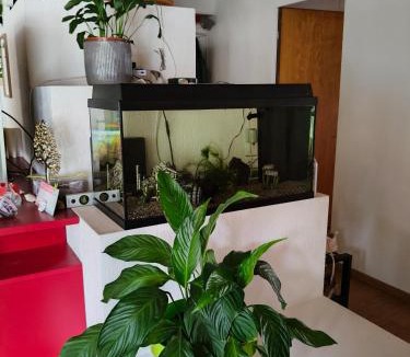 Pfaefers Dorf House | Grosses Doppelzimmer in Privathaus