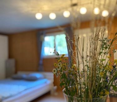 Coglio Apartment | Holiday accomodation appartamento in seminterrato