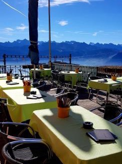 Rigi Kaltbad Hotel | Hotel Restaurant Alpina