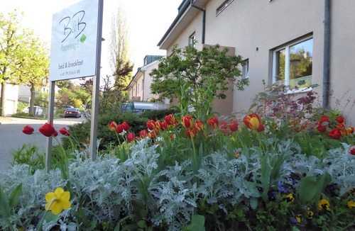Muttenz House | Ideal Base In Basel: Near St. Jakob-Park & 10-Minutes By Tram From City Centre