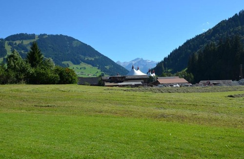 Gstaad Apartment | Jacqueline 21 Appartement/Fewo, Dusche oder Bad, WC 7-Bettwohnung by Interhome