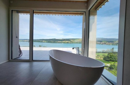 Beinwil am See Hotel | Lakeview Guest Rooms Rooftop Terrace