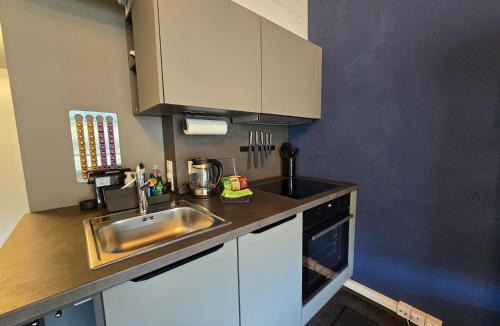 Faulensee Apartment | Lakeview Loft*Lake/Ferry access* Central