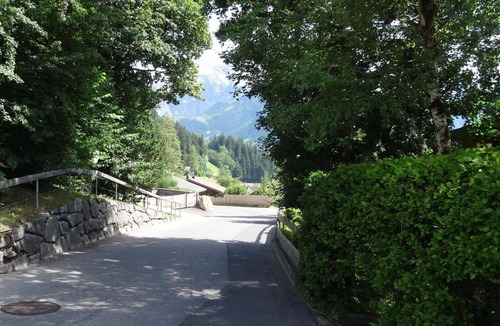 Lenk Apartment | Lovely apartment for 8 people with WIFI, balcony and pets allowed