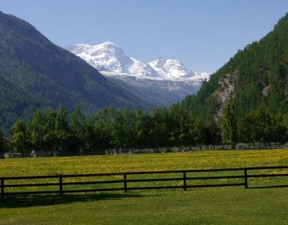 Taesch Apartment | Matterhorn Alpine Lodge - Familie und Sport