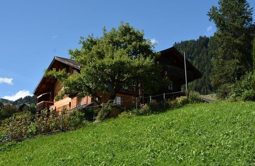 Saanen Apartment | Meielblick Appartement/Fewo, Dusche oder Bad, WC 4-Bettwohnung by Interhome
