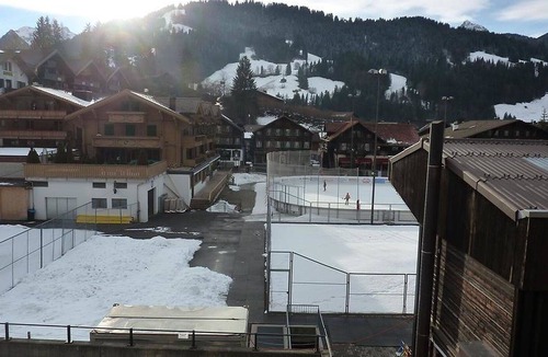 Saanen Apartment | Nice apartment for 6 people with WIFI, TV, balcony, pets allowed and parking