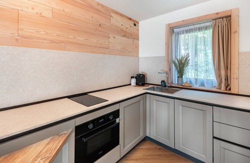 Vigo di Fassa Apartment | Noah Suites Neve Apartment with Mountain View, Private Terrace and Wi-Fi