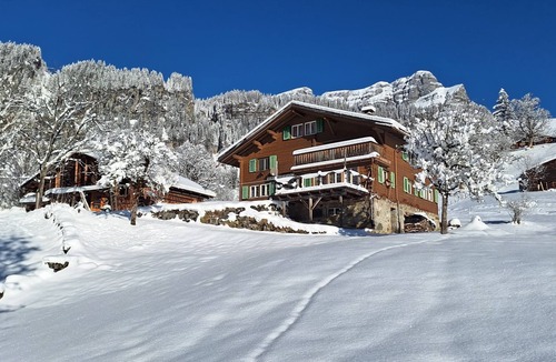Braunwald Apartment | Rietberg by Interhome