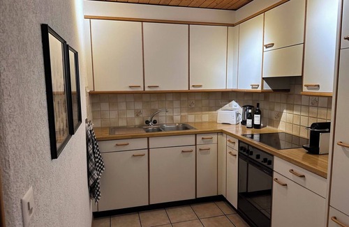 Brienz Apartment | Seeblick (Adler de la Gare) Appartement/Fewo 5-Bettwohnung by Interhome