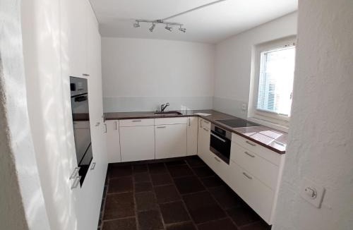 Meilen District Apartment | Seestrasse 10