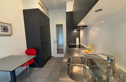 Muhlebach Apartment | Spacious 1BR near Lake and Opera - Mill 3 11