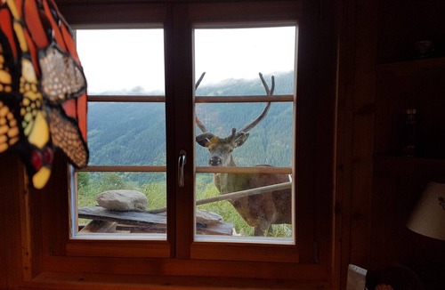 St. Luc Ski Chalet | Spacious chalet for 6 people, quiet, with a splendid view.Inside : Living room, kitchen area, 2-seat
