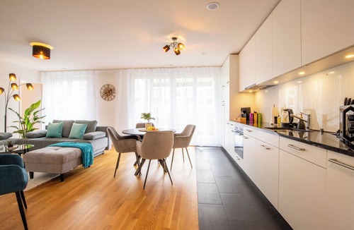 Basel City Centre Apartment | Special *EiNSTEiN IIV* Apartment