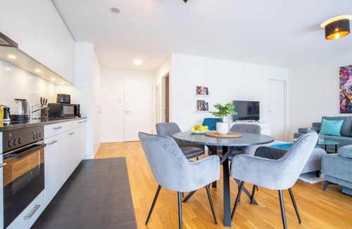 Basel City Centre Apartment | Special *EiNSTEiN IIV* Apartment