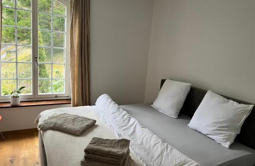 Spreitenbach Apartment | Studio im Naturschutzgebiet