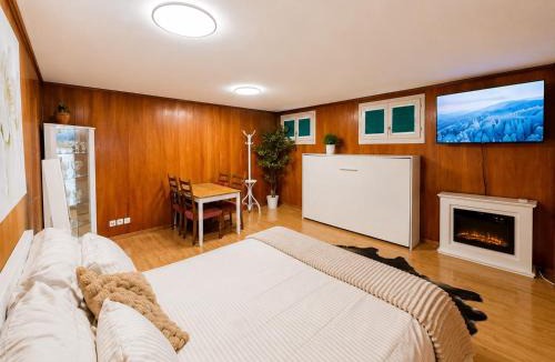 Wirzweli Apartment | The Swiss Paradise 3 Cozy Mountain Studio
