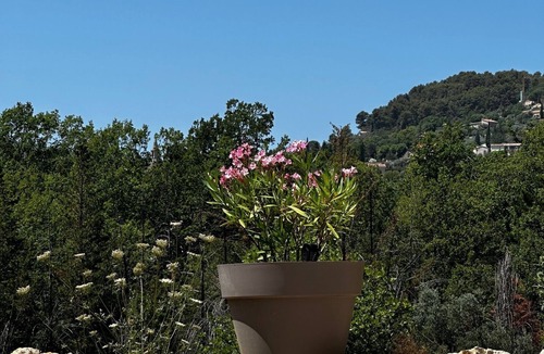 Bargemon House | Villa in a green setting, not overlooked, facing the village of Bargemon