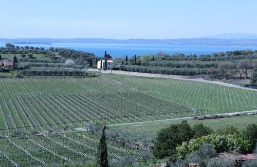 Cavaion Veronese Cabin | WANDERLUST OASI, COUNTRYSIDE APARTMENTS - Bardolino, Lago di Garda - Verona