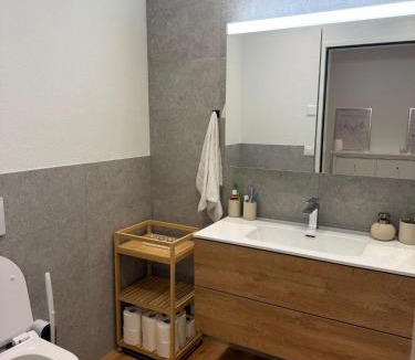 Olten Apartment | Wohnung möbliert