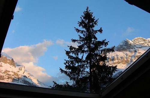 Grindelwald Apartment | Wychel 5 Bett Wohnung by Interhome