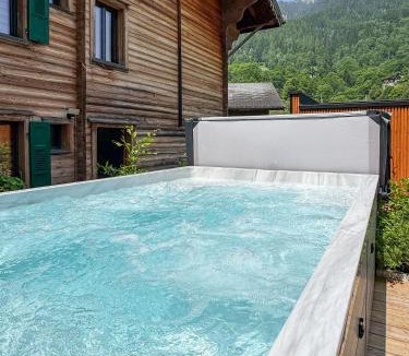 Fiesch Apartment | Zer Treichi