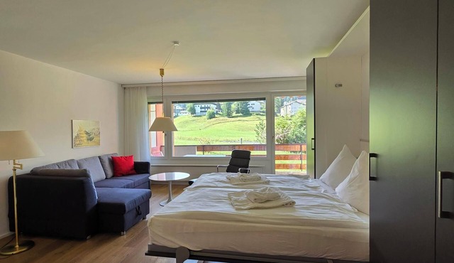 1 room vacation apartment in the heart of Parpan