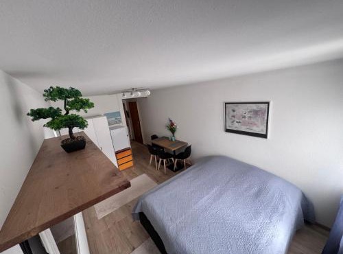 1-Zimmer Wohnung Marzili Bern