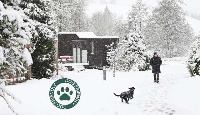 A Nature-Oriented Vacation with Your Dog at Green Tiny House Nature 1 in Osterode am Harz in Osterode