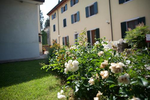 Agriturismo Albarello in Sona