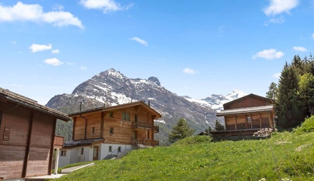 Alpine cocoon with private sauna and incredible view