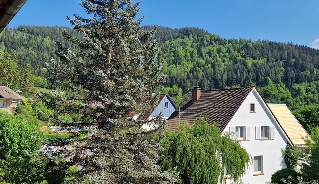 Apartment Rebberg 1 with Balcony and Wi-Fi in Wolfach