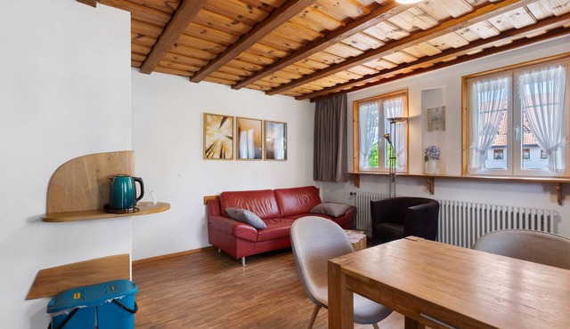 Apartment "Schwalbennest" with Shared Garden, Balcony and Wi-Fi in Donaueschingen