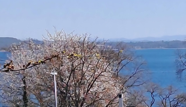 Apartment 'Seeblick-Konstanz' with Lake View and Wi-Fi in Konstanz