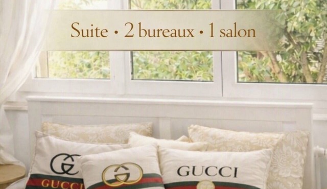 Apparently beautiful, comfortable, and well-located in Geneva