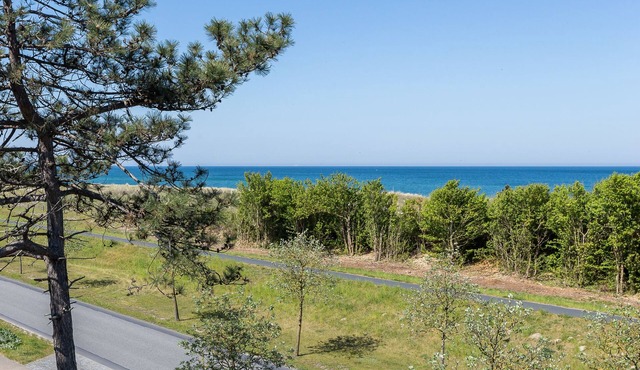 Beach life 10 - Louis Douzette in Ostseebad Ahrenshoop