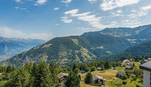 Beautiful apartment for 6 people with WIFI, TV, terrace and pets allowed