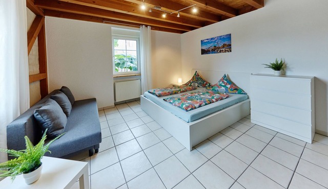 Beautiful apartment only 10 minutes walk from Europa-Park in Rust