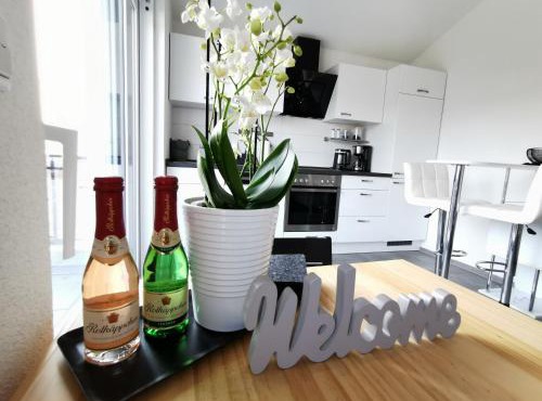 BodenSEE Apartment Meckenbeuren Ludwig Richter Strasse in Meckenbeuren