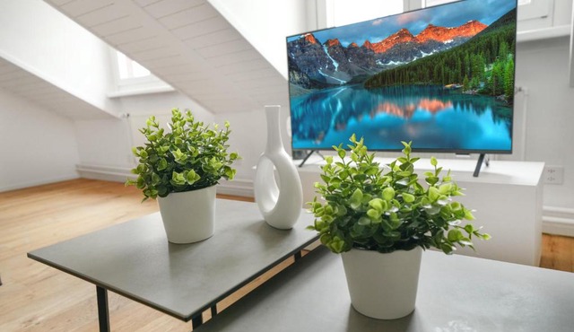book2stay moderne Wohnung OLMA-Areal