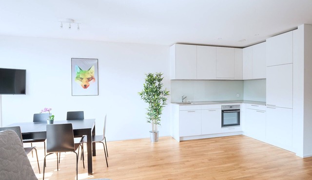 BS Fox IV - Fair HITrental Apartment in Basel