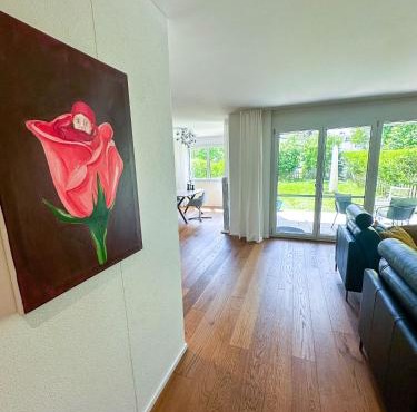 Business Apartment Rheintal 98 qm, 2 TG Plätze, ideal für 1 bis 2 Personen