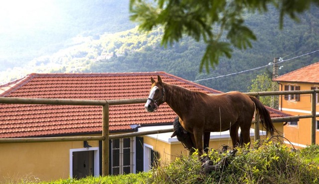 Casa Nord Silvano - rustico di paese in Borghetto dʼArroscia
