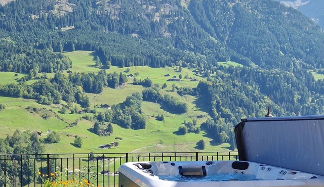 Chalet 8 people with private jacuzzi, view of the Dents du Midi-Portes du Soleil