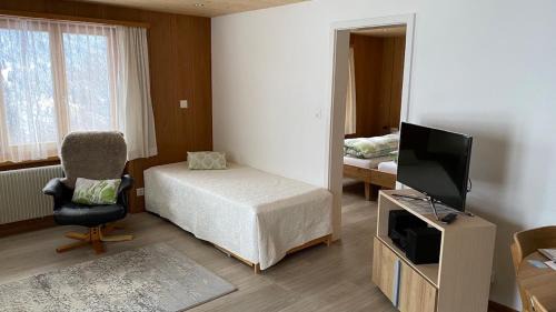 Chalet Acheregg