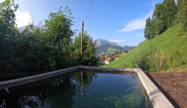Chalet Sonnenheim, Wohnung mit Panoramafenster