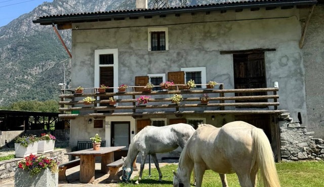 Charming farmhouse in northern Italy - nature, tranquillity & real agriturismo feeling