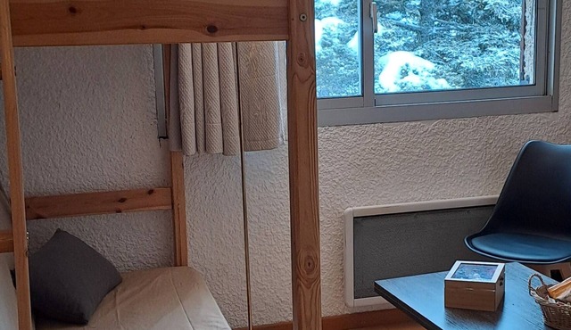 Charming little studio with valley view, in the heart of the resort at the foot of the slopes in selonnet