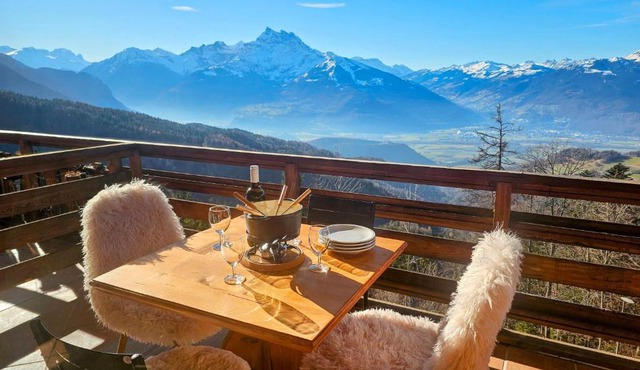 Cosy and Spacious Alpine Suite with Magnificent Views