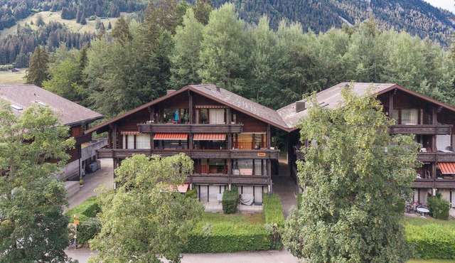 Cozy Diemtigtal Maisonette - Alpine Charm, Parking